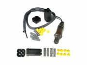 Upstream Oxygen Sensor For 1998 Ferrari F355 F1 3.5L V8 M144TV (for: Ferrari)