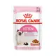 ROYAL CANIN 法國皇家 幼母貓專用濕糧 K36W