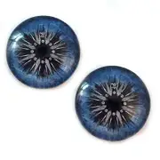 Pair of 25mm Compass Rose Nautical Vintage Water Glass Eyes for Jewelry Pendants