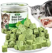 50g Cat Grass Teething Treat, Delicious Cat Grass Teething Snack Edible Cats Chew Toy for Teeth Cleaning and Hairball Removal in Cats