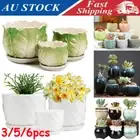 Patio Succulent Cactus Plant Flower Pot Ceramic Planter Garden Home Gift Decor