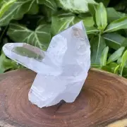 Arkansas Quartz Crystal Cluster with Tabular Crystal 242g.