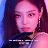 在飛比找博客來優惠-日版首張正規專輯 BLACKPINK IN YOUR ARE