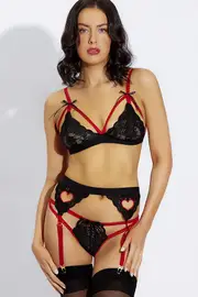 Wild Secrets Evie 3 Piece Lace Bra Set with Garter Belt & Thong