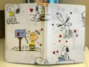 Snoopy Pottery Barn Peanuts TWIN Sheet set Holiday heart school dog Birthday
