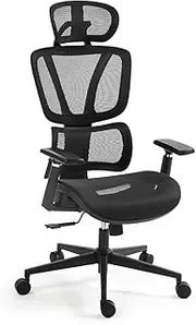 Fortia Ergonomic Office Desk Chair, Coolmesh Fabric, Adjustable Lumbar Support, Headrest, Armrest and Recline, Black Mesh/Black Frame