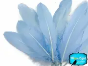 1/4 lb - Light Blue Goose Satinettes Wholesale Loose Wing Feathers Craft Quill