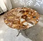 15" Petrified Stone Round Coffee Table Top Unique Centerpiece Home and Garden