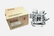 Genuine Yamaha FZ150 , MX KING Cylinder Head Only - Expedited
