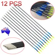 12x 31" Fiberglass Arrows Archery Hunting Target Compound Bow Fiber Glass Bows