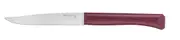 Opinel 002196 - 11cm Stainless Steel Bon Appetit Table/Steak Knives (Box of 12 with Garnet Handles)