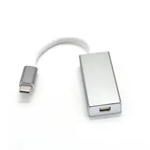 Max+ Type-C(公)轉Mini DisplayPort(母)影音轉接器 銀/15cm