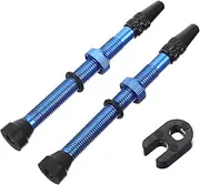AKOOSY 1pair Bike Tubeless Valve Stems Core and Caps and Easy to Install for and Cycling Accessories Tool