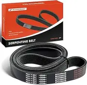 Engine Serpentine Drive Belt Compatible with Ford, Freightliner, Mack & Sterling Truck Cars - F650 F750 2000-2003, M2 106 2006-2010, MD7 2023, Acterra 2005-2010, Acterra 5500 6500 7500