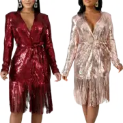 Elegant Sequin Shimmer Fringed Evening Glitter Long Sleeves Dress