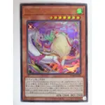 [老天順本鋪]現貨 遊戲王 VJMP-JP198 華信龍 納吾肉孜伊莉絲 金亮 全新未拆封