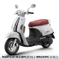 在飛比找蝦皮商城優惠-《KYMCO》光陽機車 Many 110 碟煞 七期 全新 