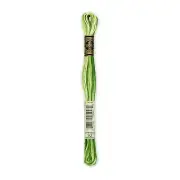 DMC 6-Strand Embroidery Cotton 8.7yd Variegated Avocado