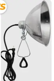 Brooder Clamp Work Light Heat Lamp CERAMIC SOCKET 18/2 SJTW 10" Reflector NEW