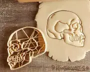 Anatomical Correct Skull From Side Biology Human Body Jaw Teeth Cookie Cutter