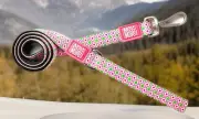 Max & Molly Short Leash Size Sm Retro Pink