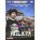 ...牙牙的收藏家 ... 【大陸劇DVD~雍正王朝.唐國強.焦晃.】全新未拆~下標=結標!!