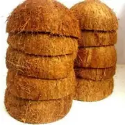 10pcs Ceylon Natural Coconut Shell Halves Eco Friendly Organic Decorate Handmade
