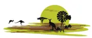 Green and brown Australian decal 1400mm vehicle sticker van RV camper motorhome