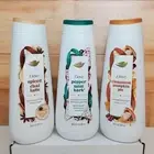 Dove Rare Set Spiced Chai Latte, Peppermint Bark, Cinnamon Pumpkin Pie Body Wash