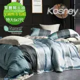 在飛比找遠傳friDay購物優惠-《KOSNEY 尼蒂羅 》特大100%天絲全舖棉四件式兩用被