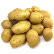 Fresh Yukon Gold Potatoes *15 LBS BAG* Prime Picked Vegetable FREE PRIORITY SHIP