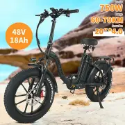 KRISTALL Y20 20" 750W 48V Electric Bike ebike Mountain Bike Fat Tyre eBicycle AU