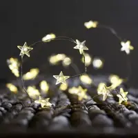 在飛比找momo購物網優惠-【Saikoyen】極美LED小星星300cm銅線燈串1組(