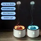 Humidifier Volcano Aromatherapy Machine Ultrasonic Essential Oil Humidifier Diff