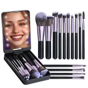 14 Makeup Brushes with LED Light Makeup Mirror with and Travel Case Portable Rechargeable Mirror Box
