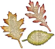 Sizzix, Tattered Leaves Bigz Die, Tim Holtz