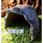 ✨現貨✨[龍爵士水族]烏龜洞飾品 裝飾品 造景 擺飾 飾品 擺件 魚缸造景 魚缸擺飾 魚躲藏 可愛小物   Z15