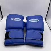 Winning 14oz Hook and Loop Blue Leather Boxing Gloves Made In Japan MS500B