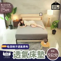 在飛比找momo購物網優惠-【BOSS BEDDING 小老闆寢具】雙人加大6尺吸濕排汗