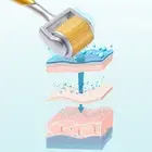 Derma Roller Titanium Micro Needle Skin Scars Anti Aging Dermaroller