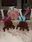 Handmade Jumping Spiders