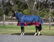Caribu Colorado Detach-a-Neck Horse Rug 250g Midnight Wine - 5.6FT / Midnight Wine