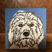 Havanese Dog, White - Hand Painted Tile by Pumpkin Tile - 6 x 6" -D152W
