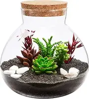 Kisangel 1pc Moss Plant Bottle Spherical Glass Jar with Cork Lid for Succulent Fern Moss Air Plants Display(No Light)