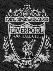 Large Stencil Liverpool FC logo Football Reusable Pattern Wall Art Sport