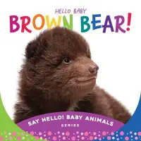 在飛比找博客來優惠-Hello Baby Brown Bear!