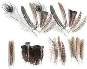 HOODANCOS 6pcs Plume Headdress Accessories DIY Plumes Materials Craft Projects Dream Catcher Making Plumes Wedding Party Decorations Home Decor