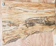 Black-line Spalted Maple Wood 0506 Luthier One pc. Guitar body blank 22.5x 16x 2