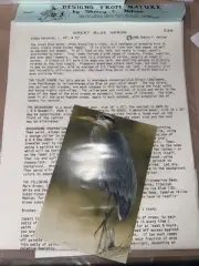 The Great Blue Heron - SHERRY C NELSON Tole Painting Pattern 1988
