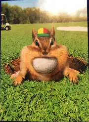 Avanti Greeting Cards - Almost Funny -"A Bad Day Golfing...Beats Any. " NEW(A42)